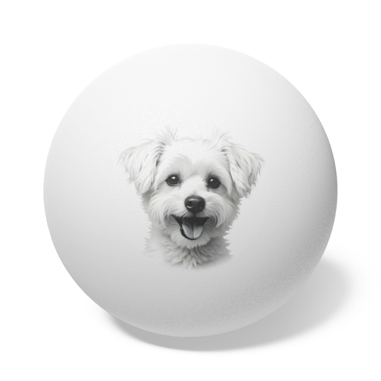 Maltese