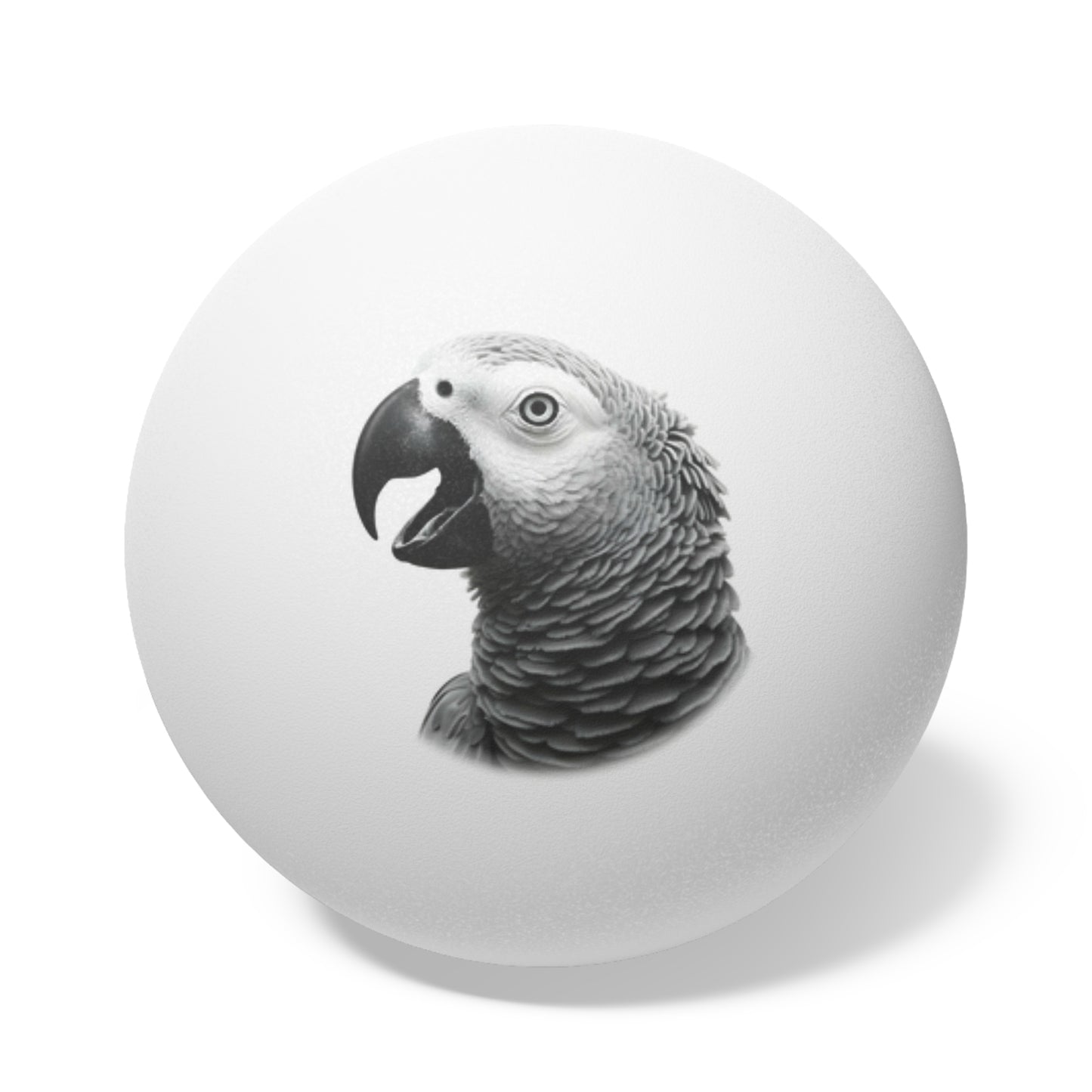 African Parrot