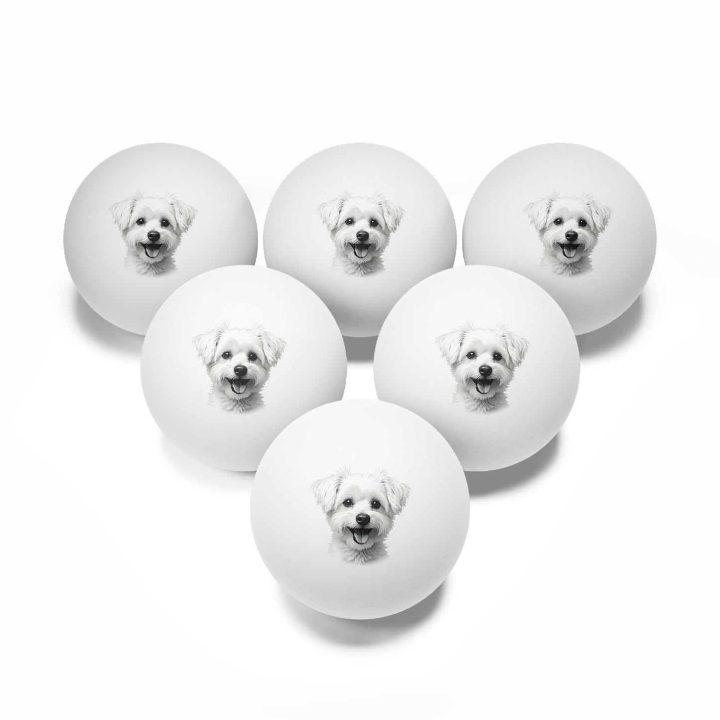 Maltese