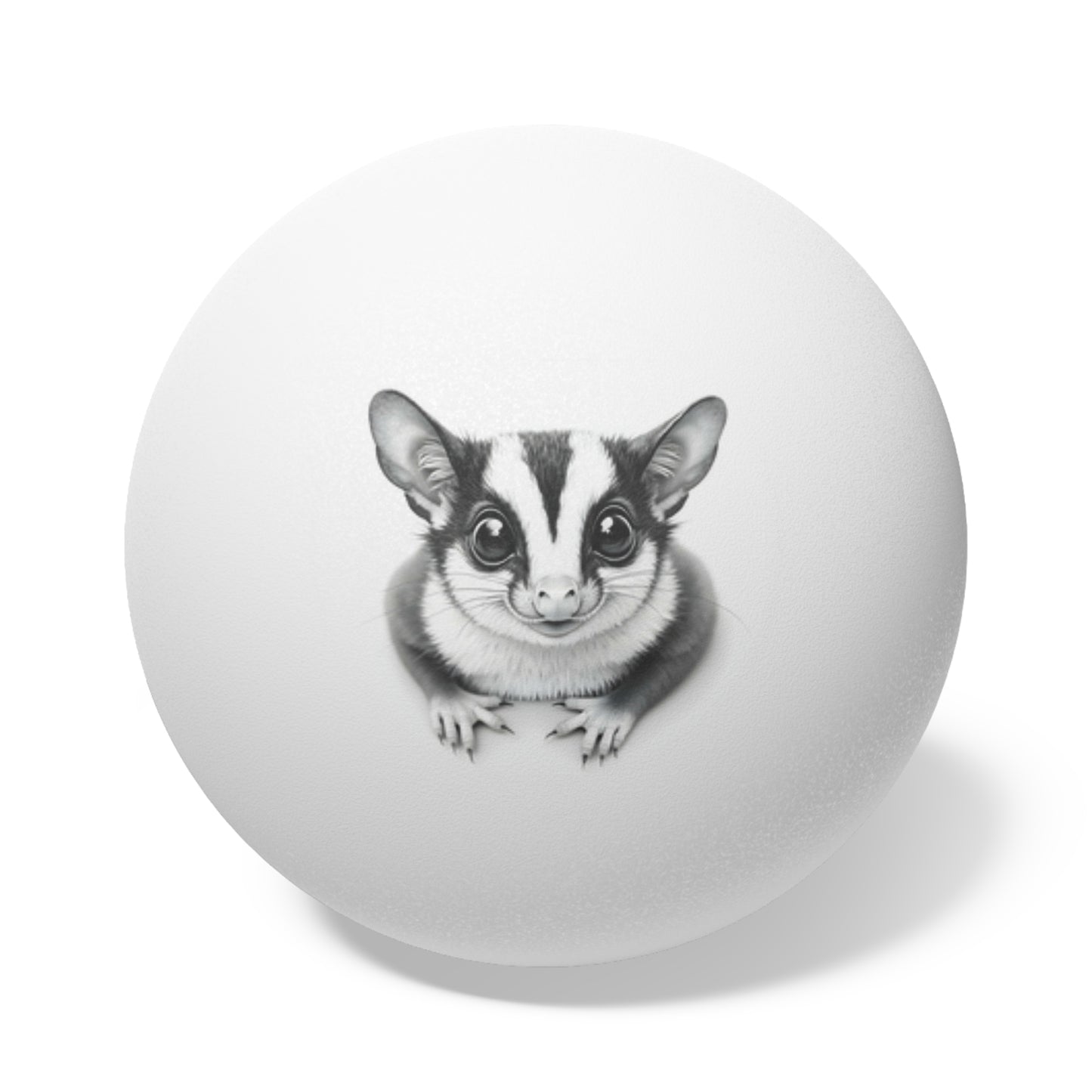 Sugar Glider