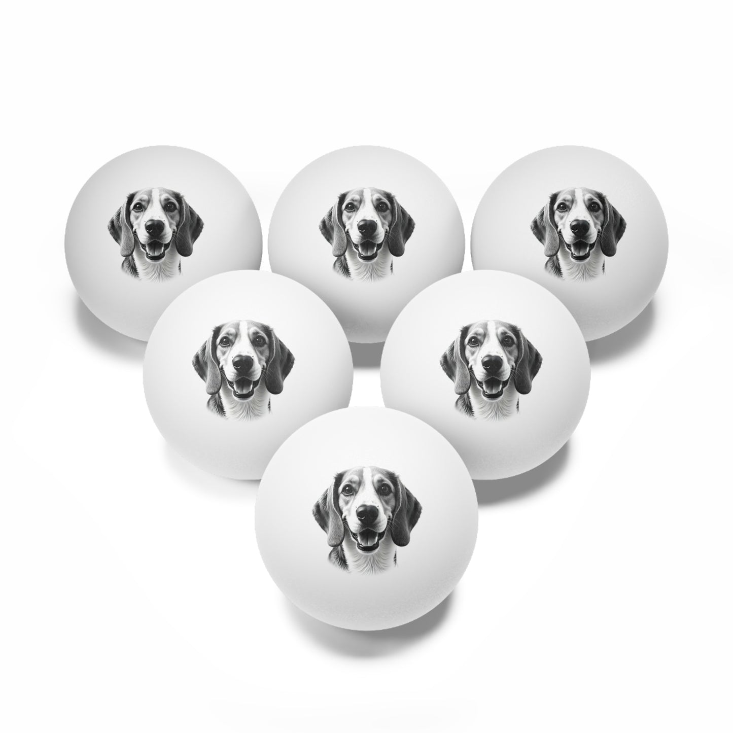 Beagle