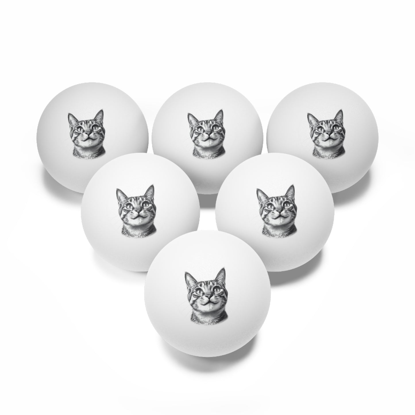 Domestic Shorthair