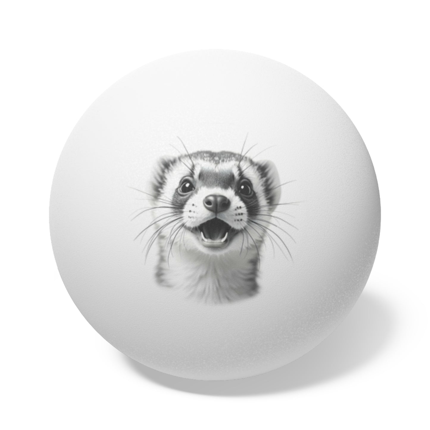 Ferret