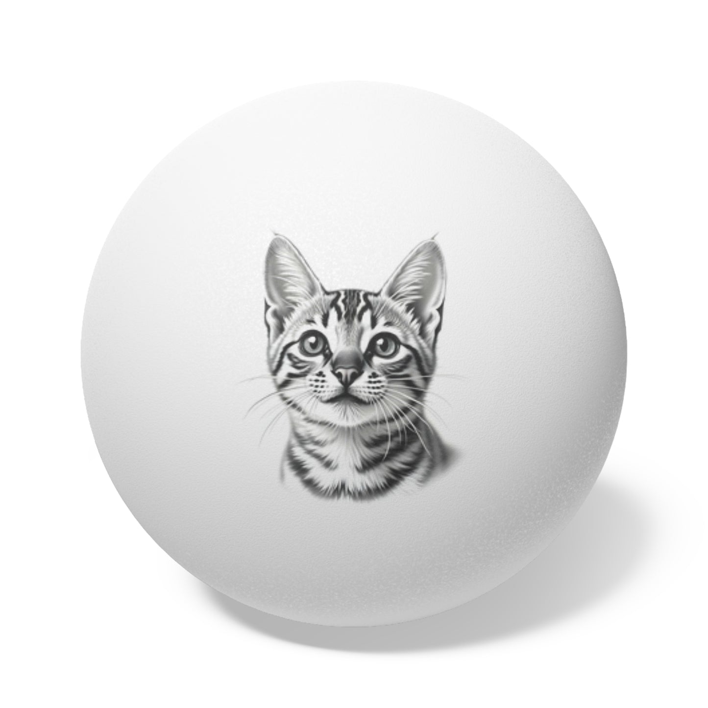 Bengal Cat