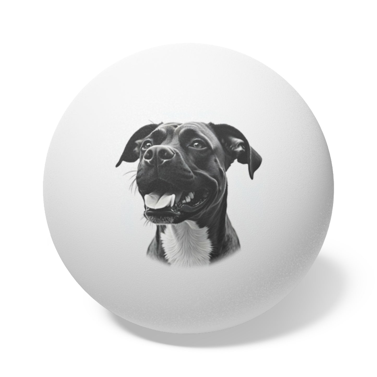 Boxer