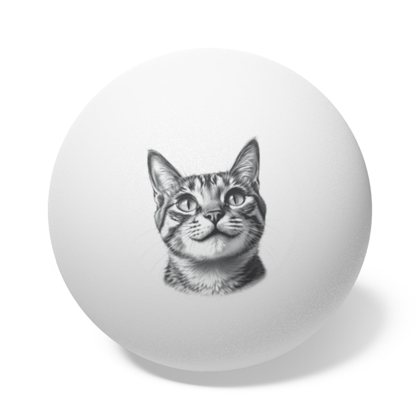 Domestic Shorthair