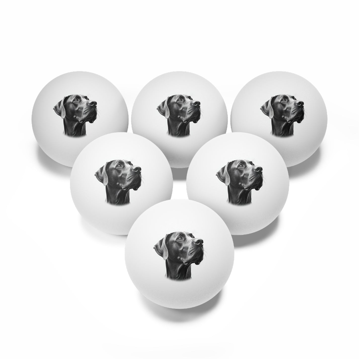 Great Dane