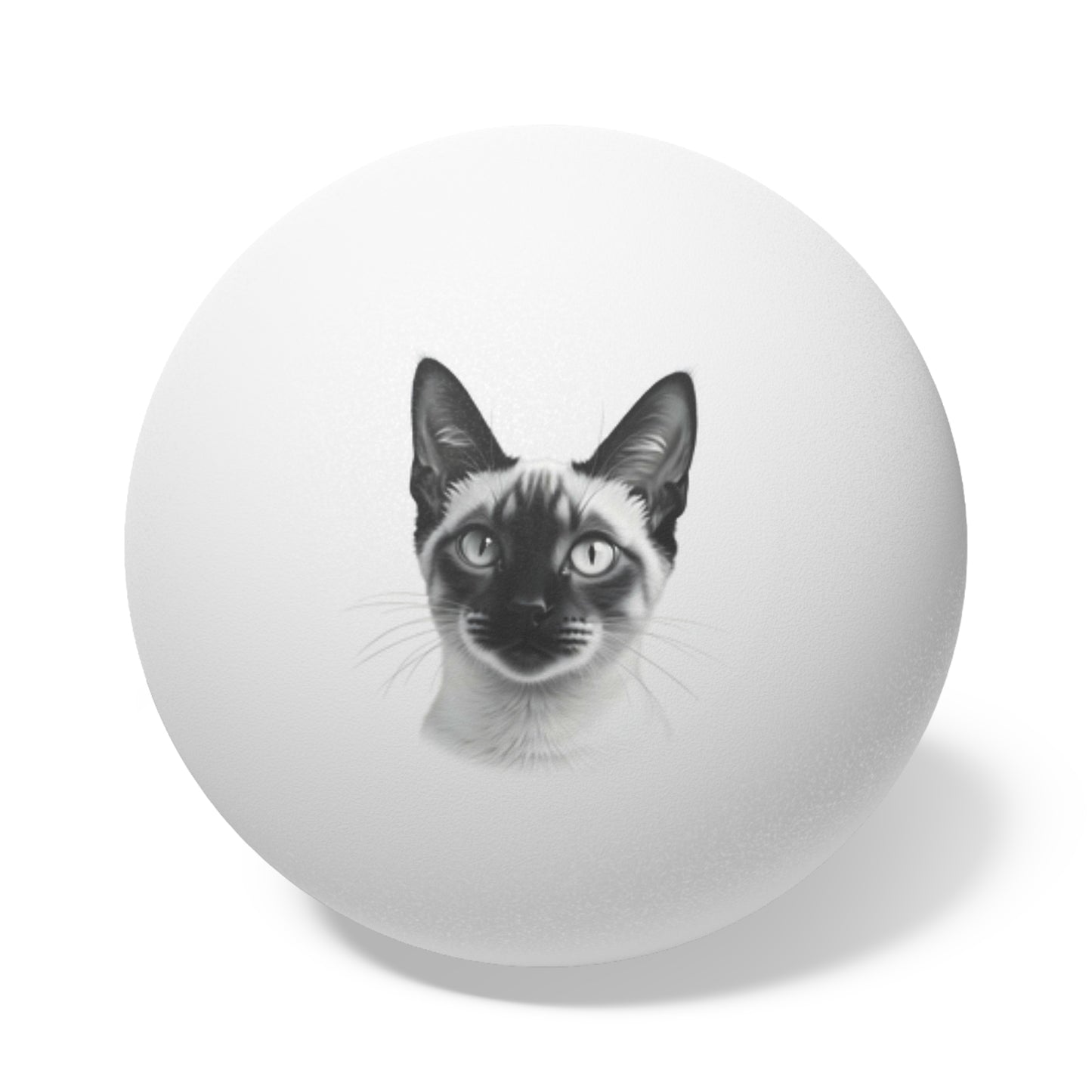 Siamese Cat