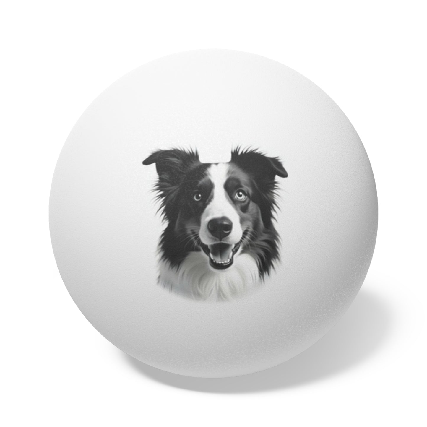 Australian Shepherd
