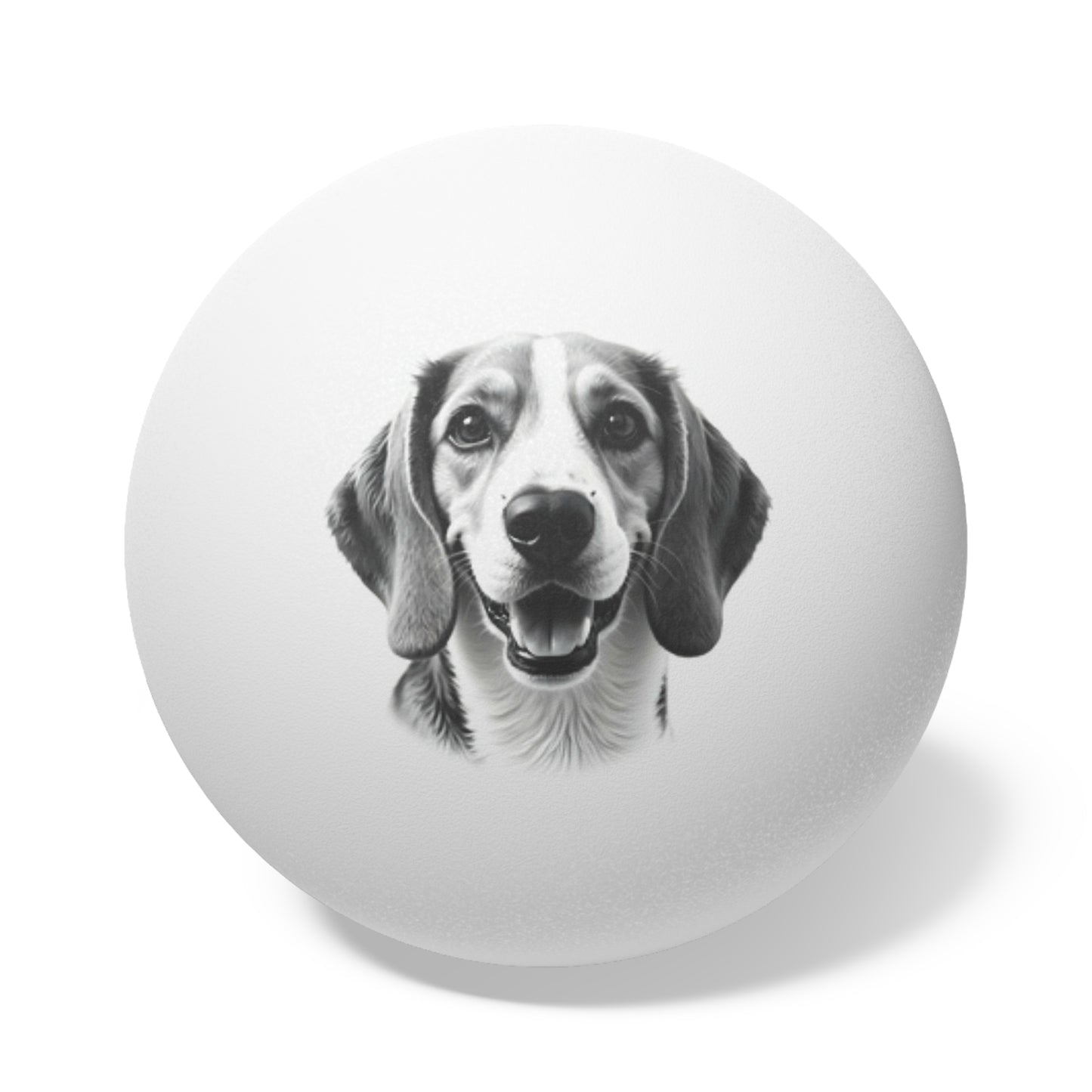 Beagle