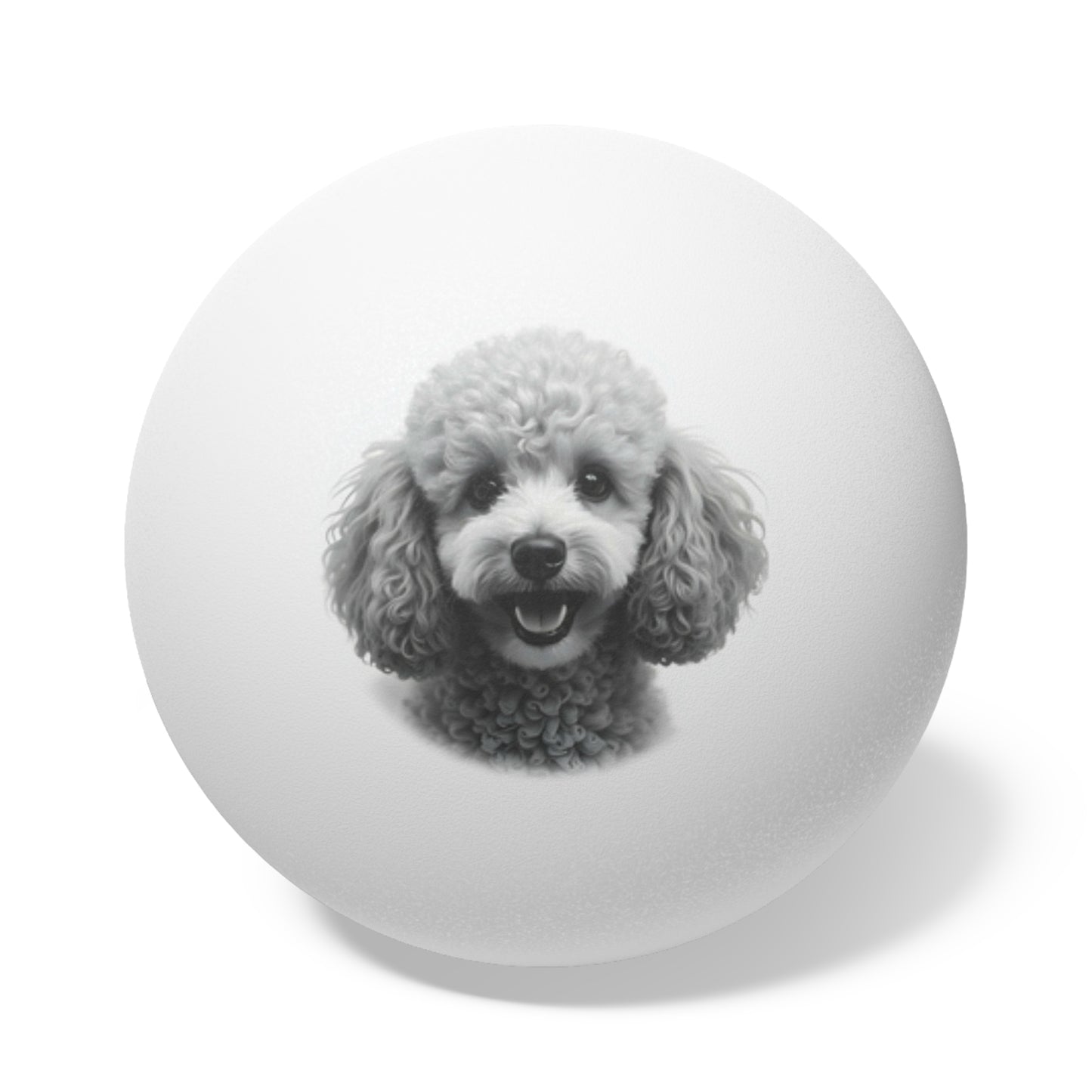 Poodle Puppy