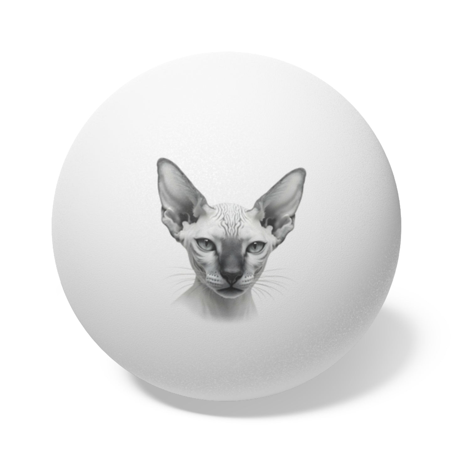 Sphynx Cat