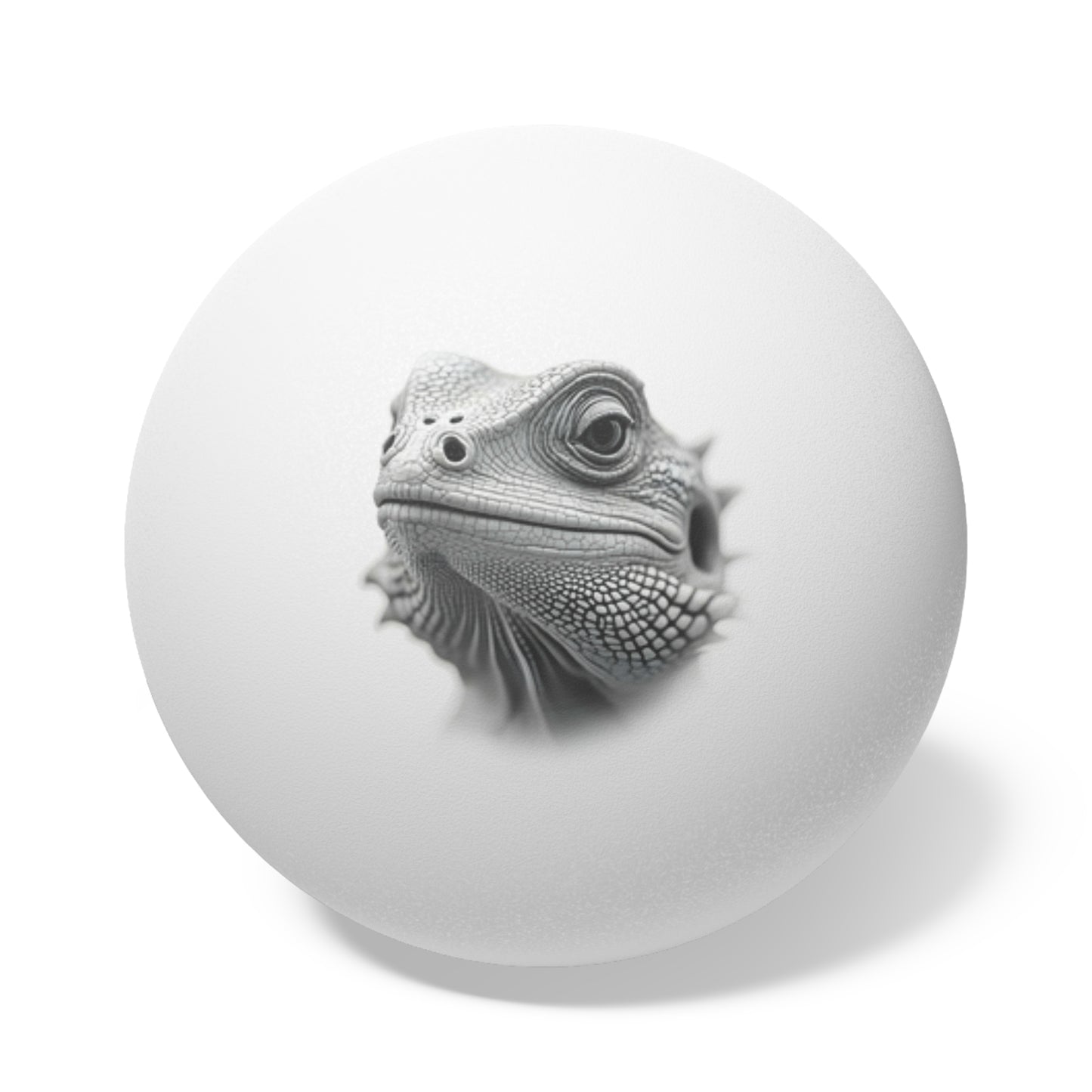 Bearded Dragon