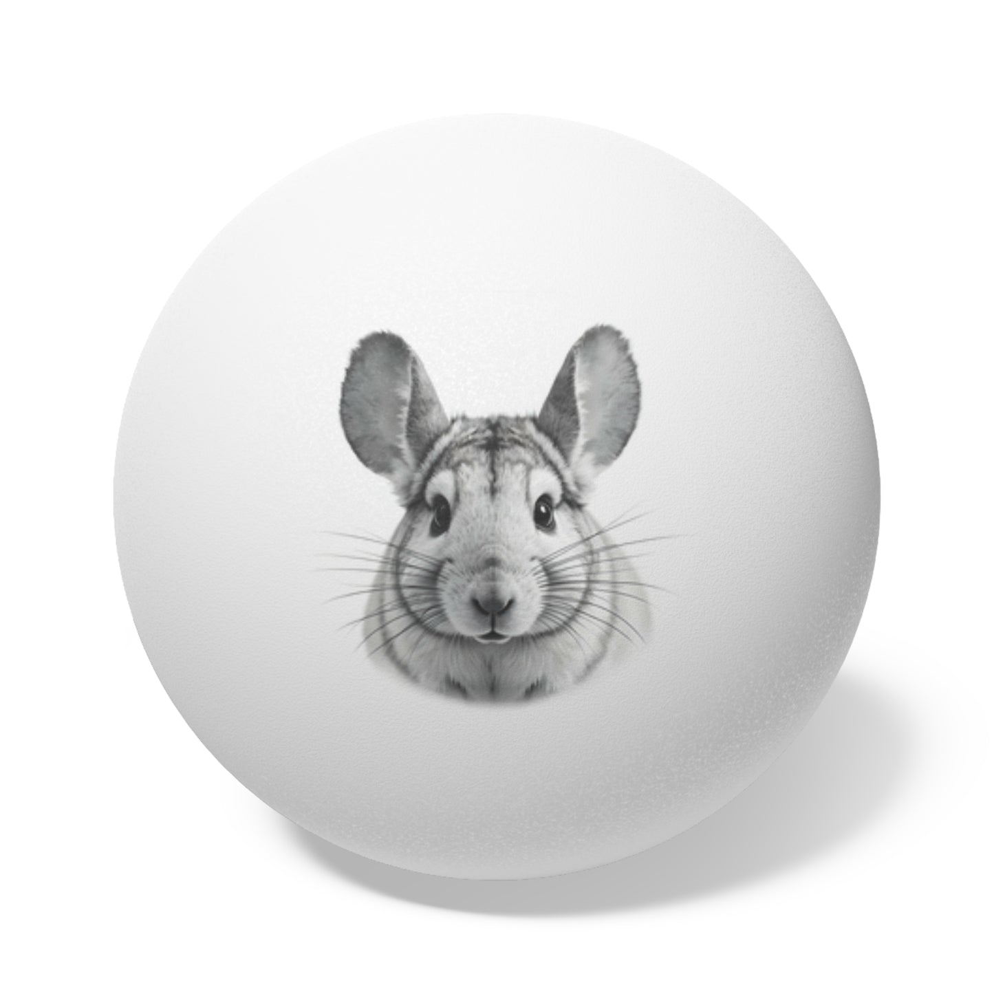 Chinchilla