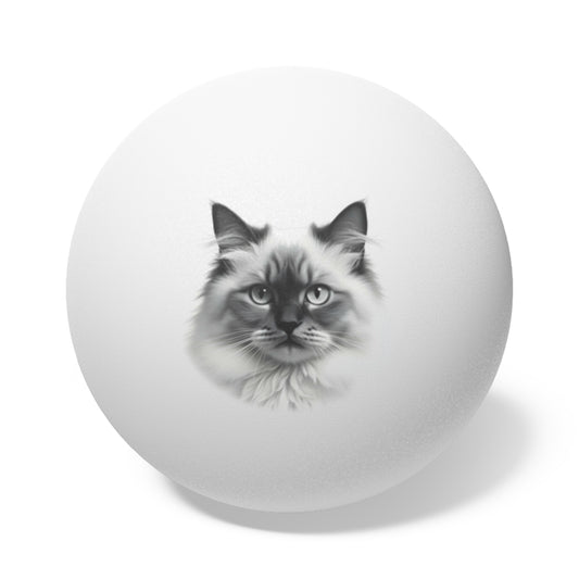 Ragdoll Cat