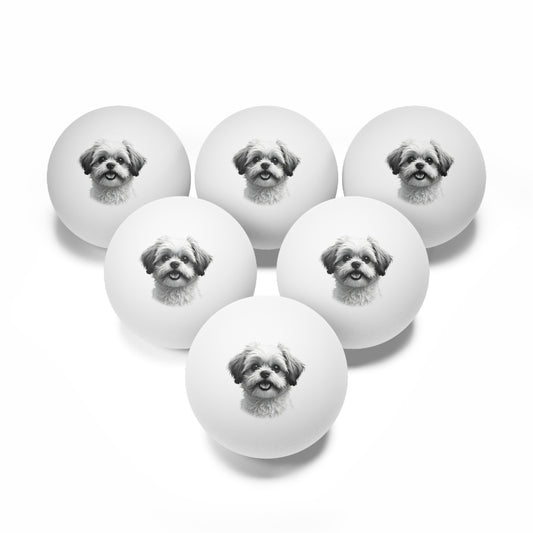 Shih Tzu
