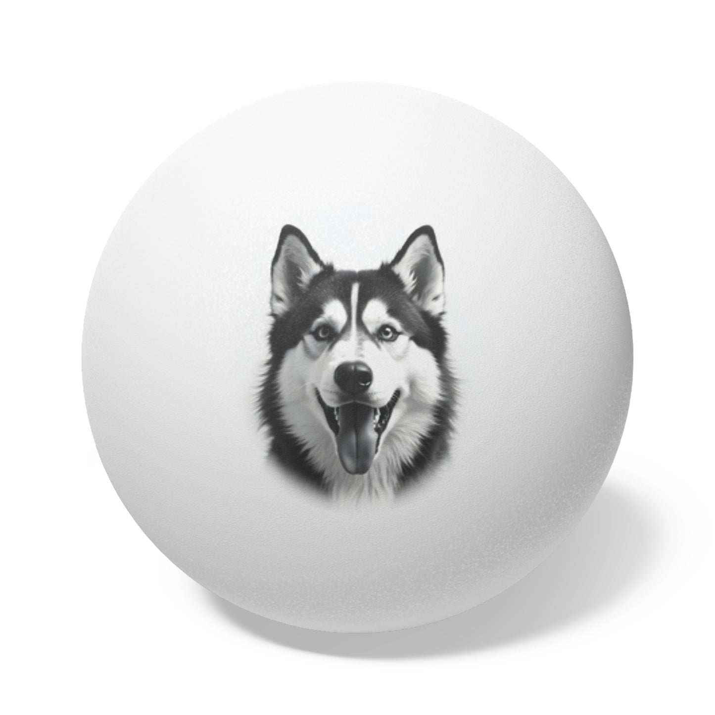 Siberian Husky