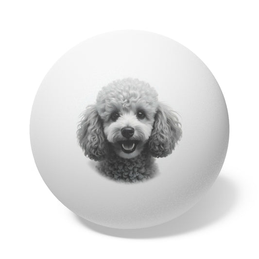 Poodle Puppy