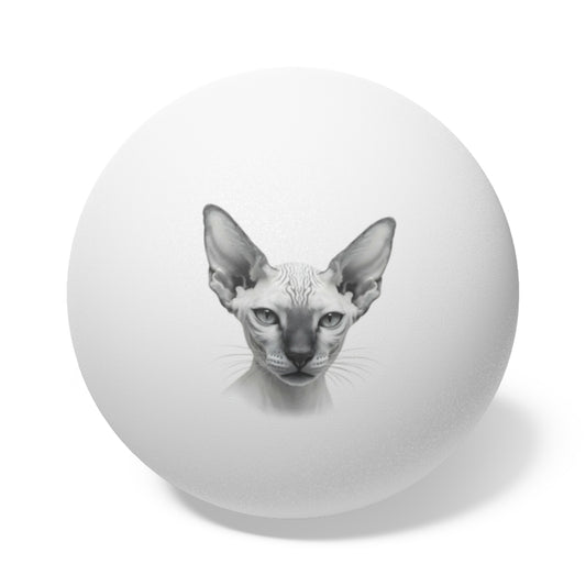 Sphynx Cat
