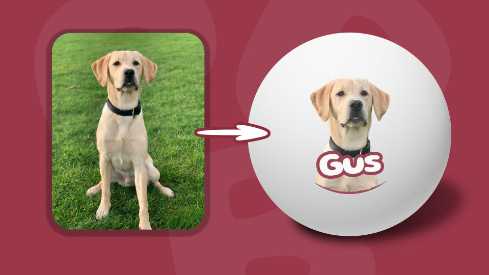 Example showing how a photo of a dog become custom printed Ping-Pong® balls through Personalized+